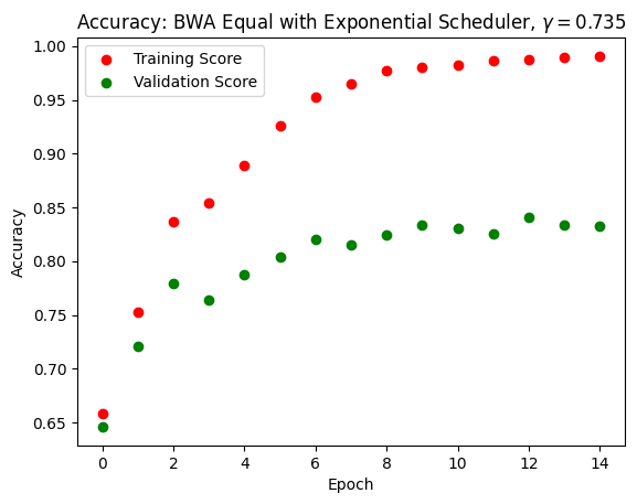 EfficientNetB0 score